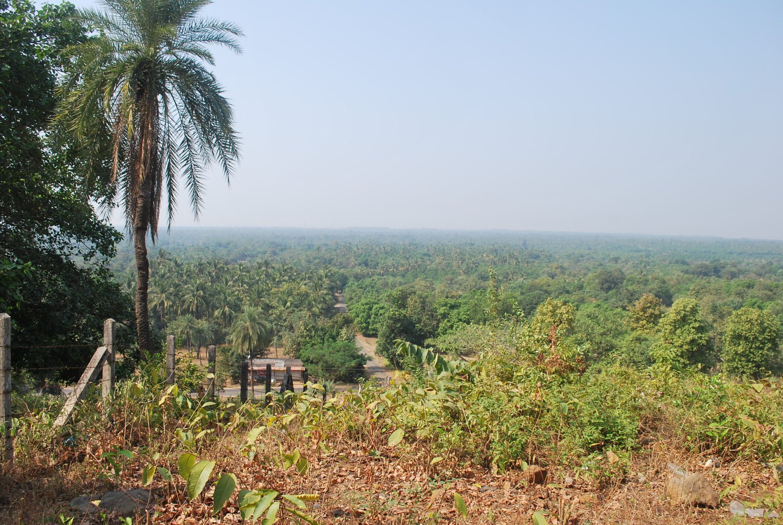 discovering the hidden gem of bhuigaon beach in vasai 1792813206 scaled