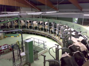 Maharashtra’s Drought Relief: A New Silage Scheme to Shield Dairy Farmers in Marathwada and Vidarbha